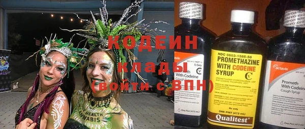 spice Инта