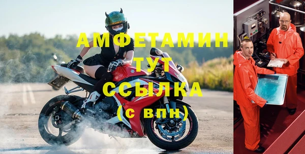 spice Инта